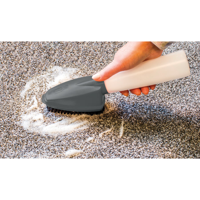 Ewbank Carpet Cleaning Kit Compact Carpet Shampooer & Upholstery